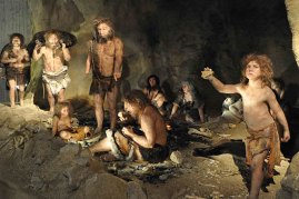 neandertal_06_kenniskennis